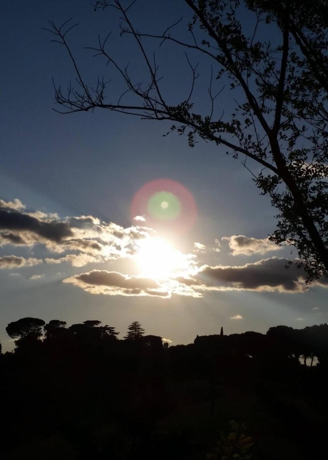 Apartmán La Mimosa Dozza Exteriér fotografie