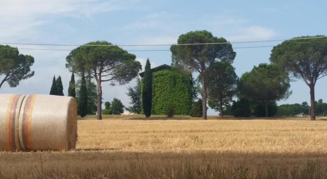 Apartmán La Mimosa Dozza Exteriér fotografie