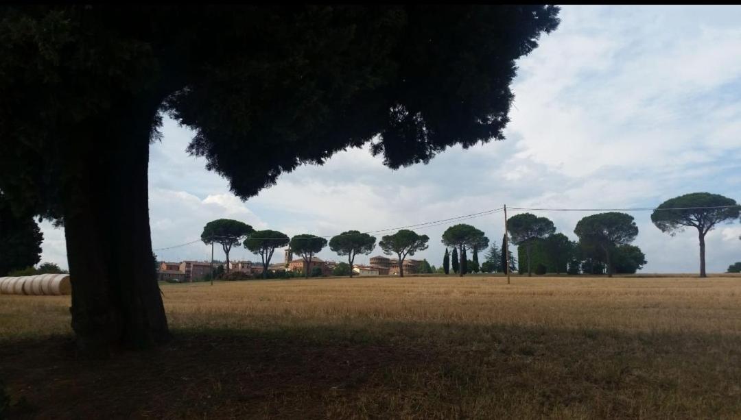 Apartmán La Mimosa Dozza Exteriér fotografie