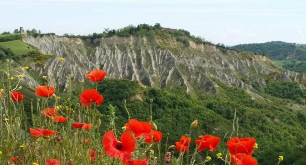 Apartmán La Mimosa Dozza Exteriér fotografie