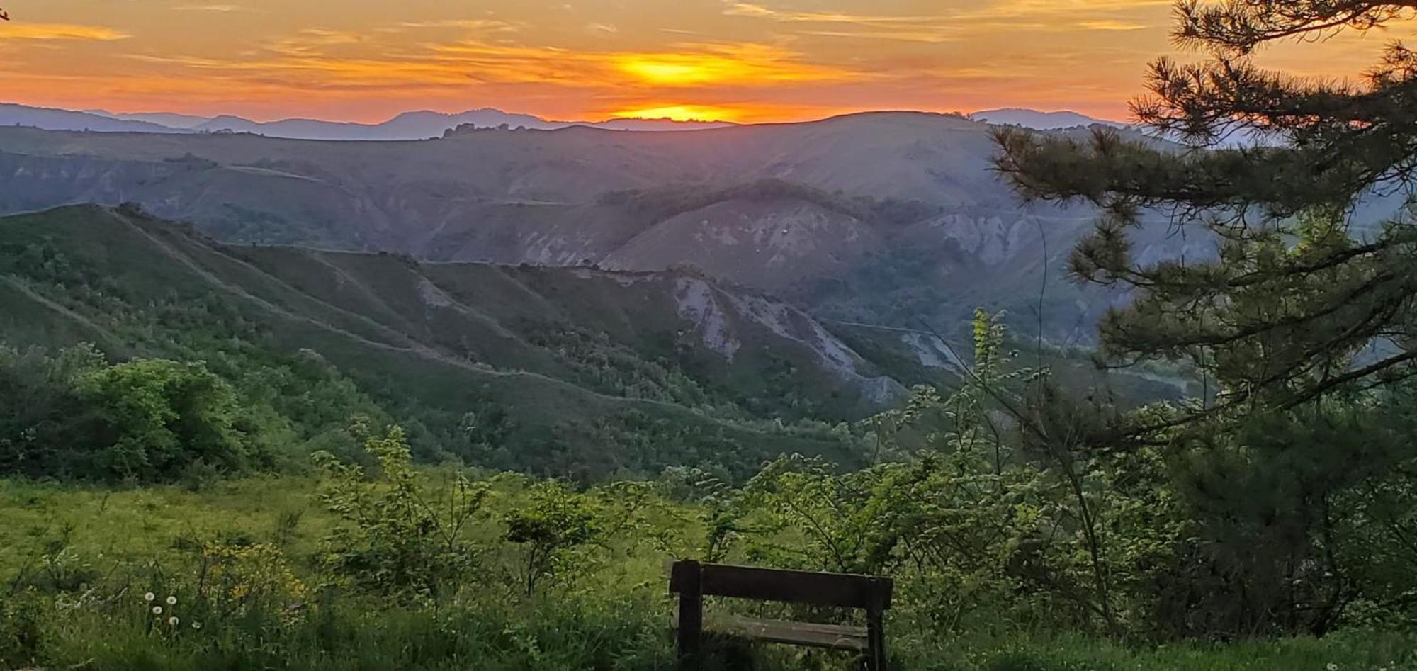 Apartmán La Mimosa Dozza Exteriér fotografie